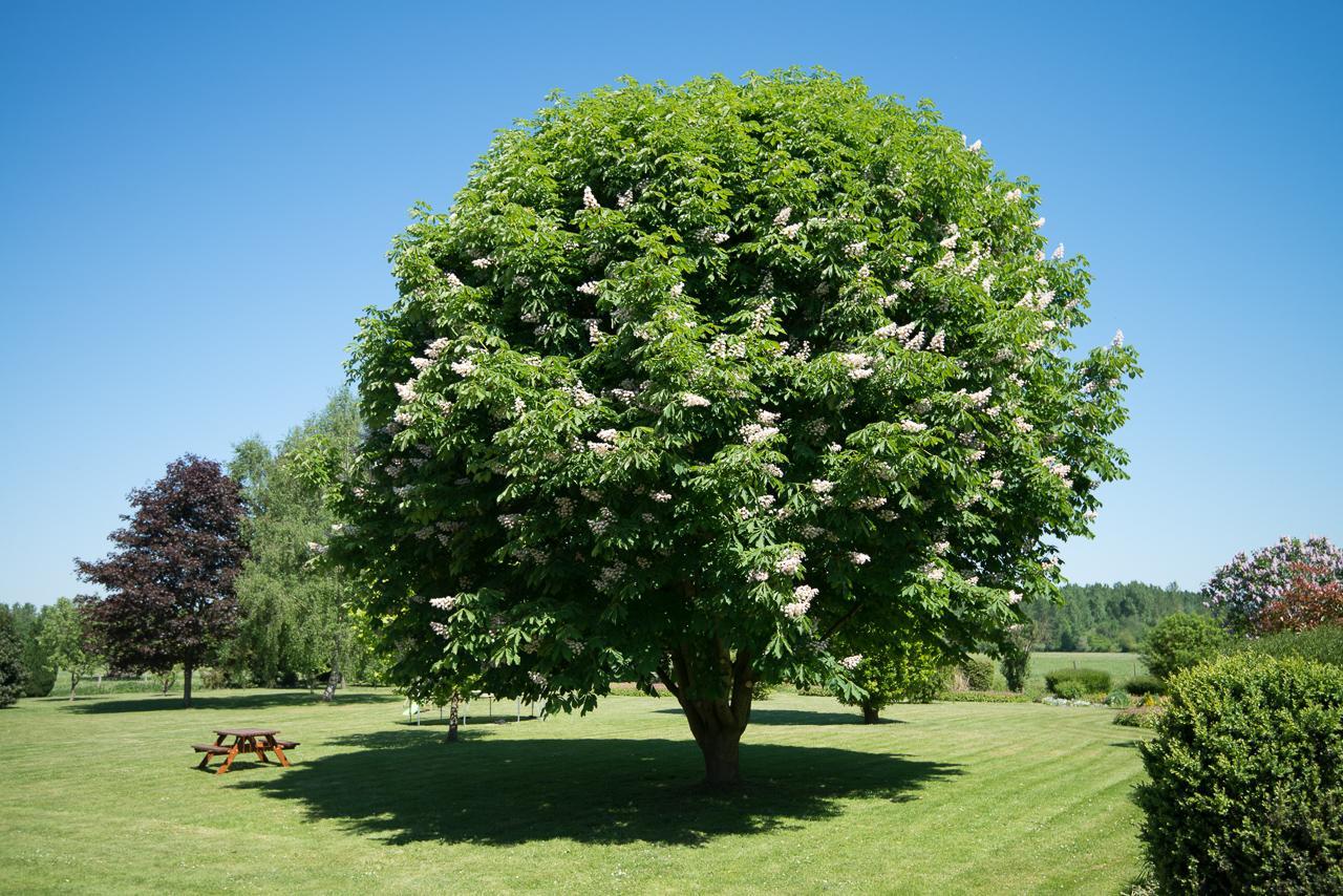 Au Jardin Fleuri Βίλα Vauxaillon Εξωτερικό φωτογραφία