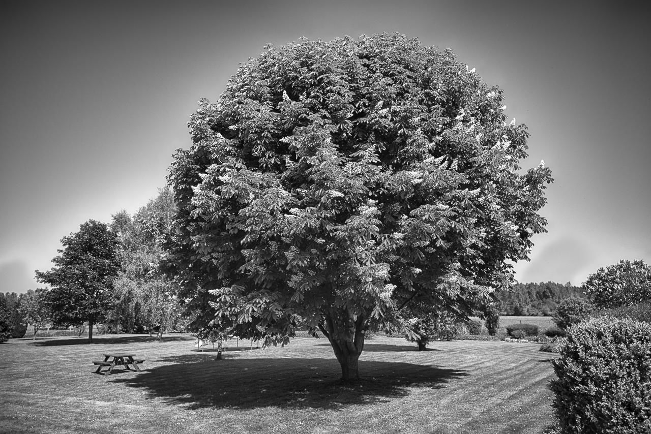 Au Jardin Fleuri Βίλα Vauxaillon Εξωτερικό φωτογραφία