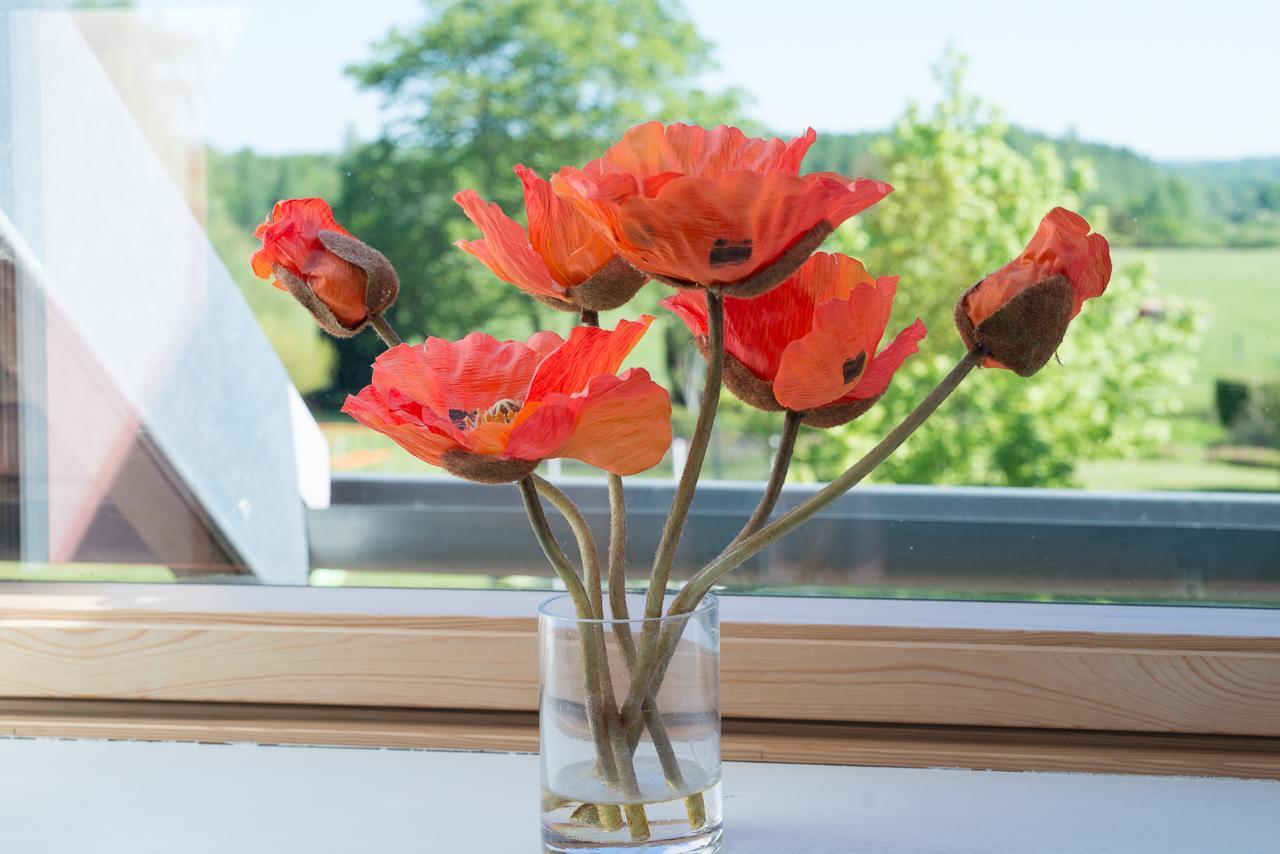Au Jardin Fleuri Βίλα Vauxaillon Εξωτερικό φωτογραφία