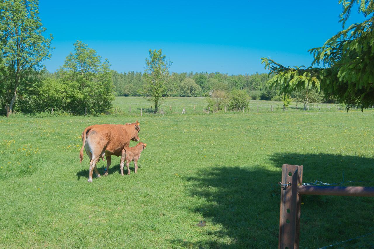 Au Jardin Fleuri Βίλα Vauxaillon Εξωτερικό φωτογραφία